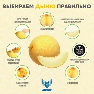 Хочу дыню