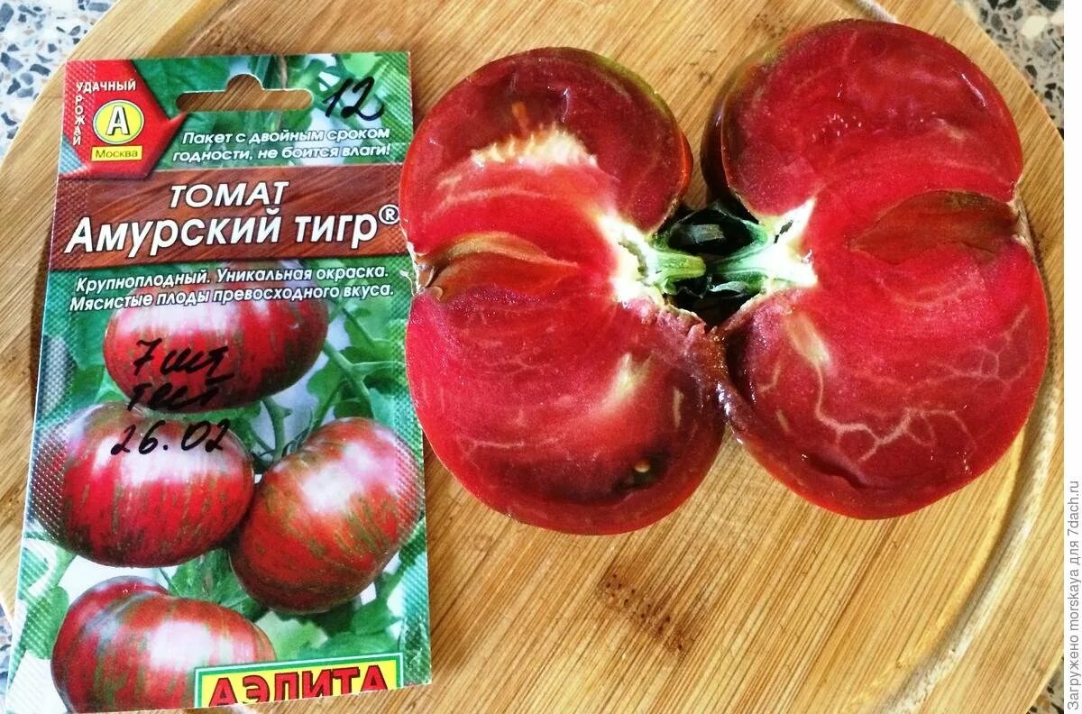 Помидор тигр описание