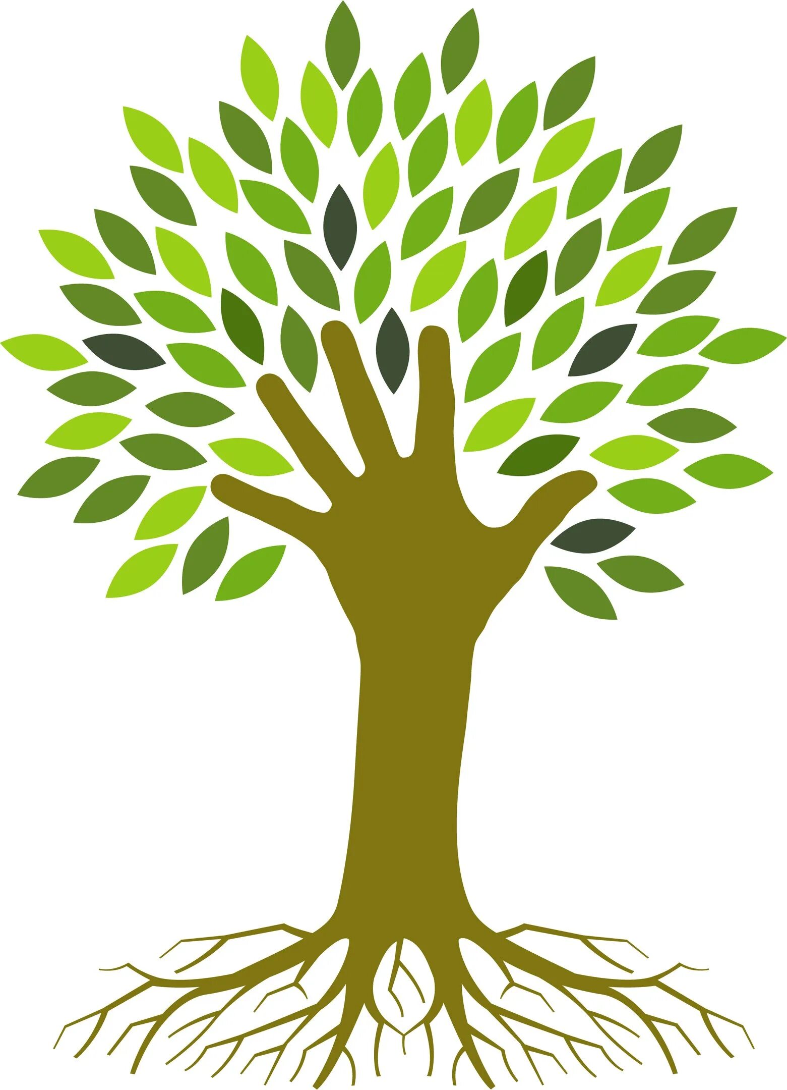 Go tree
