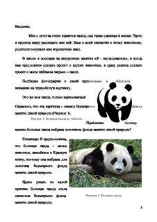 Панда сообщение 4 класс окружающий мир