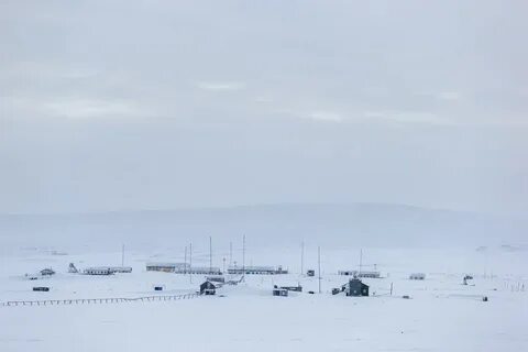 Тини тикси