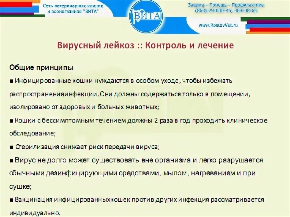 Вирусный кошачий лейкоз симптомы. Вирусная лейкемия кошек (felv). Кошачья чумка панлейкопения. Вирусная лейкемия у кошек лечение. Вирусная лейкемия у кошек лечение.