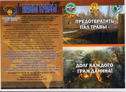Есть слово пал