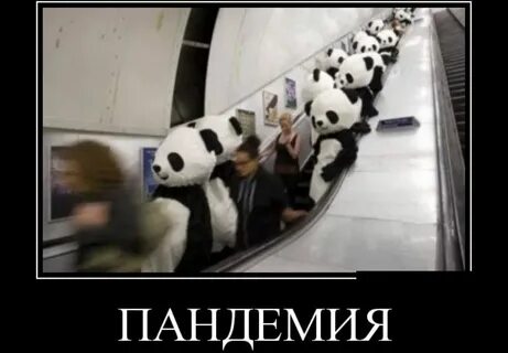 Панда пандемия