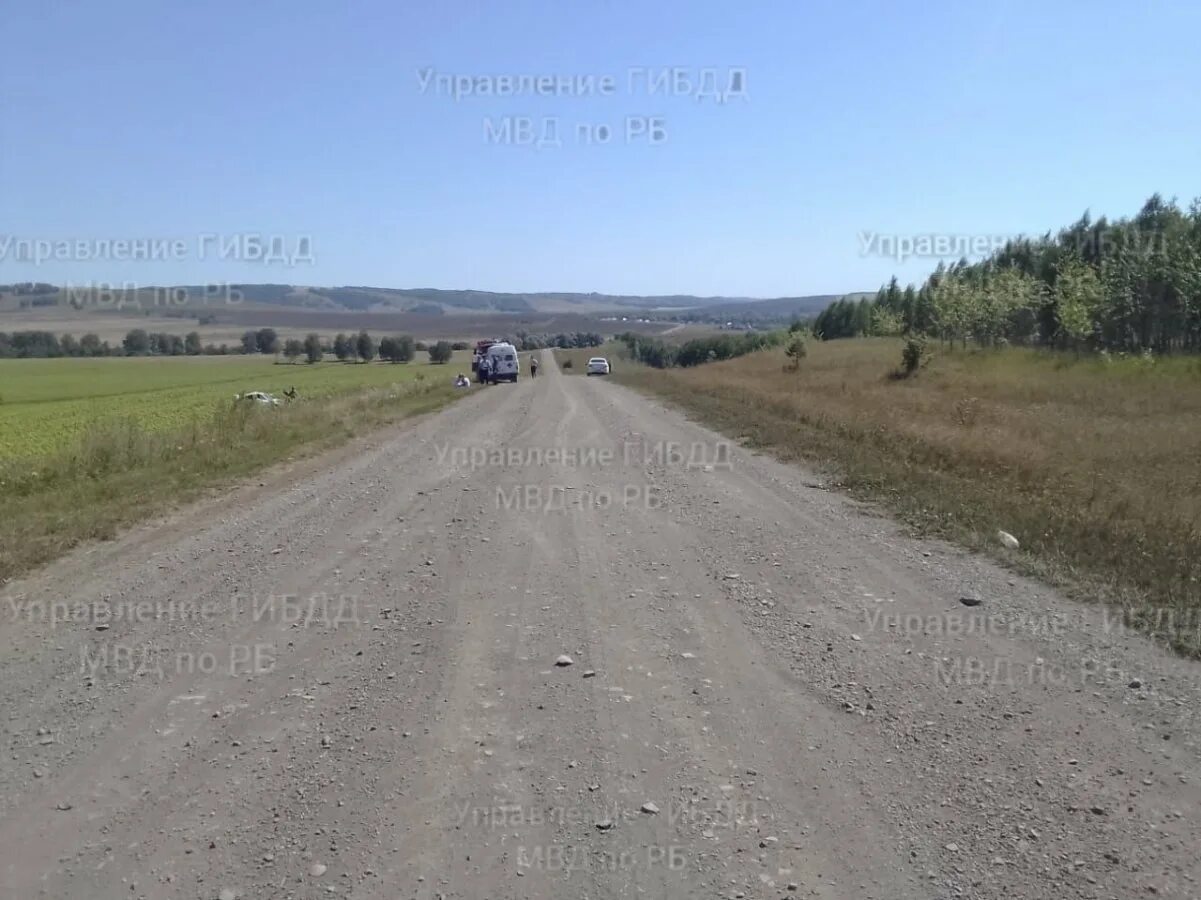 Погода мраково кугарчинский на 14 дней гисметео. Погода мраково кугарчинский на 14 дней гисметео. Село мраково башкортостан. Погода мраково кугарчинский на 14 дней гисметео. Погода мраково кугарчинский на 14 дней гисметео.