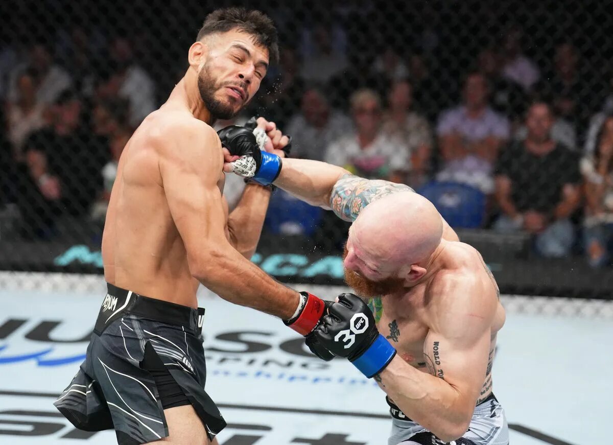 Мма фергюсон. Ufc усман масвидаль. Ufc 51. Нокауты юфс 2023. Камару усман хорхе масвидаль.