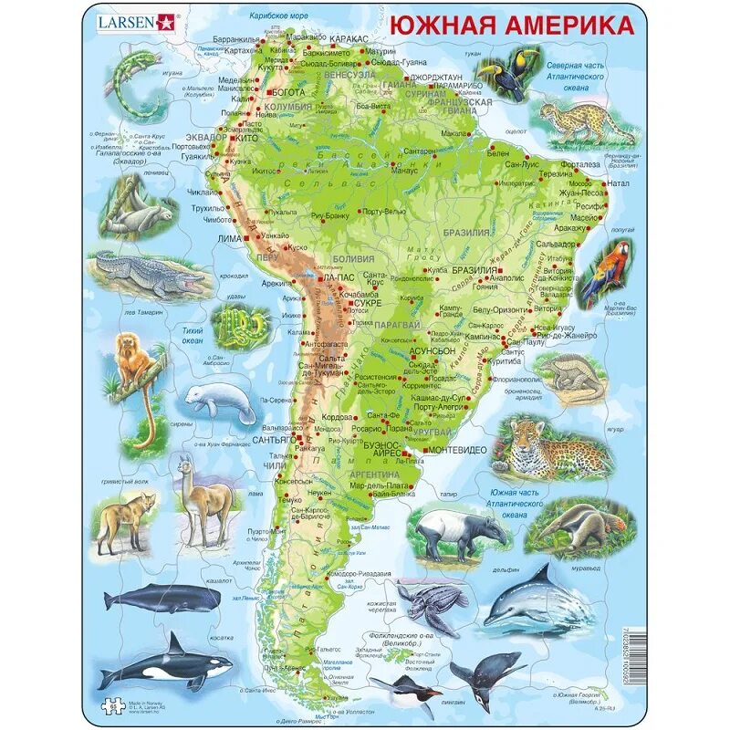 Карта животных Южной Америки. Животный мир Южной Америки карта. Южная Америка для детей. Какие животные обитают на материке северная америка