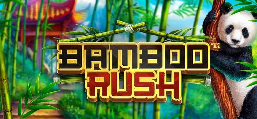 Казино бамбук. Слот бамбук. Игра бамбук казино. Repow - Bamboo Rush.