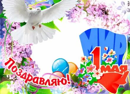 С 1 мая по 15 июня