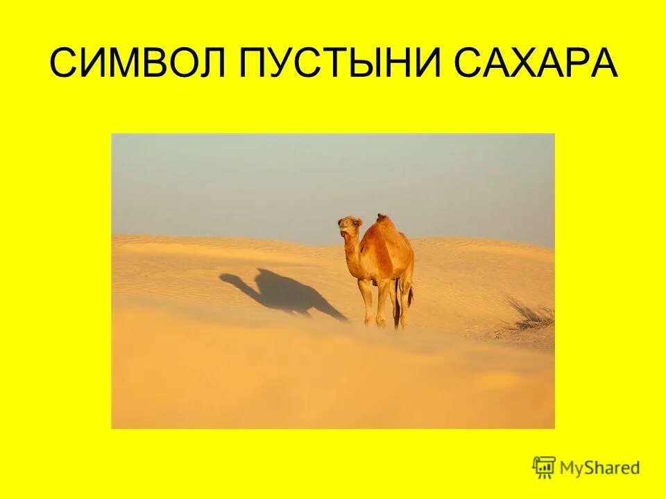 Экологические проблемы пустыни выражены знаками. Экологические проблемы пустынь и полупустынь 4 класс. Пустыня змеи факты. Экологические проблемы пустынь знаки. Знаки пустыни 4 класс.