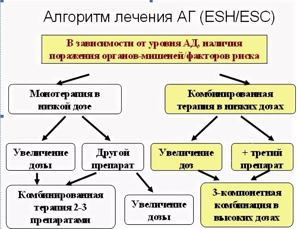 Схемы лечения гипертензии. Лечение гипертонической болезни схемы лечения. схема лечения артериальной гипертонии. терапия артериальной гипертензии схемы. схема лечения гипертонической болезни.