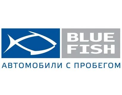 Fish auto