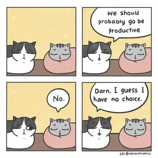 Если бы котики были