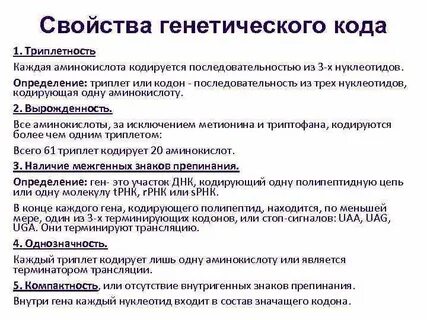 Один триплет соответствует одной аминокислоте