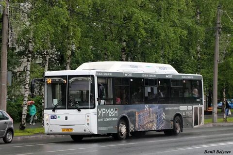 569 автобус расписание
