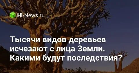 Какие деревья исчезли