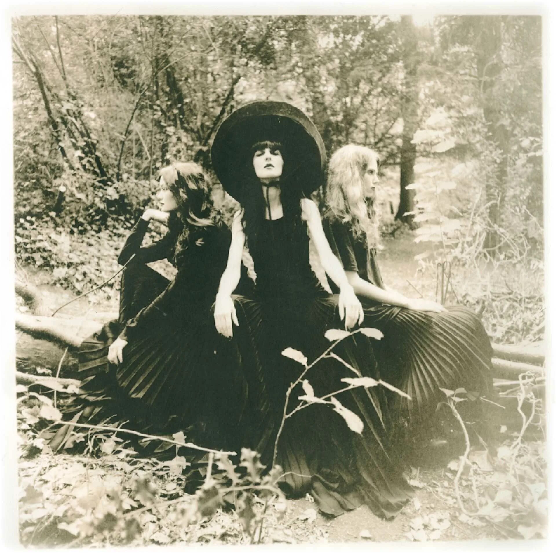 элис кителер — первая ведьма ирландии. ведьмы прошлых веков. хэллоуин в средневековье. ковен ведьм салема. колдунья.