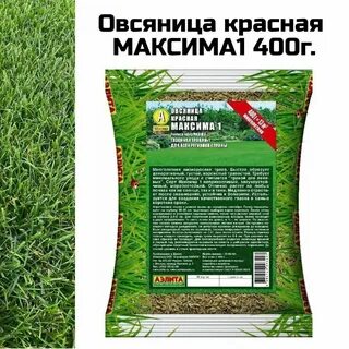Многолетний газон низкорослый