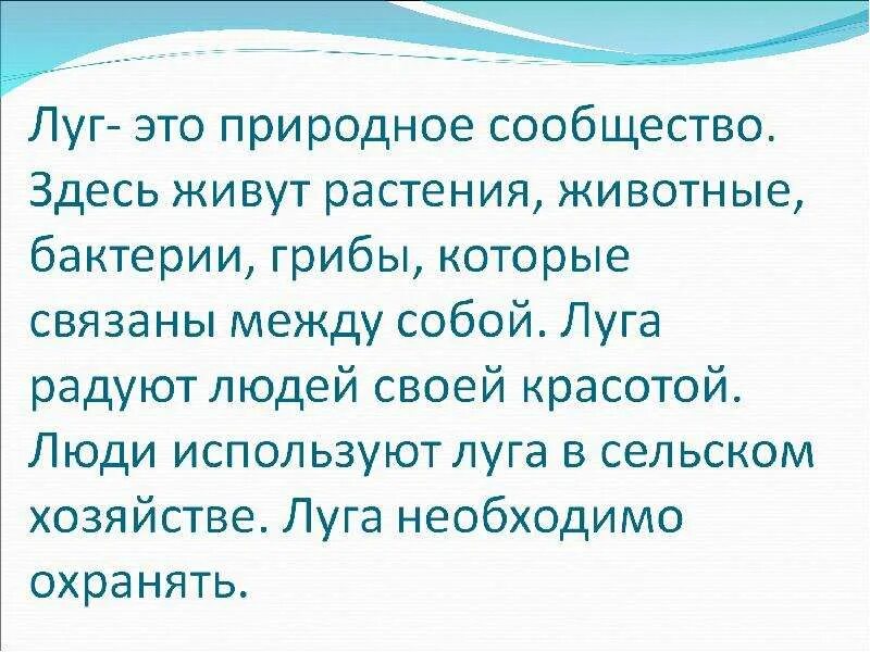 Как человек использует луг заполни схему луг человеку