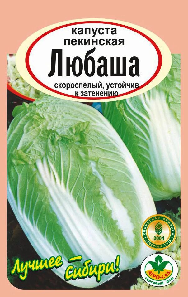 Пекинская любаша. Пекинская капуста. капуста любаша. капуста пекинская любаша уральский дачник. капуста скороспелая.