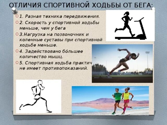 Отличившимся спортсменом