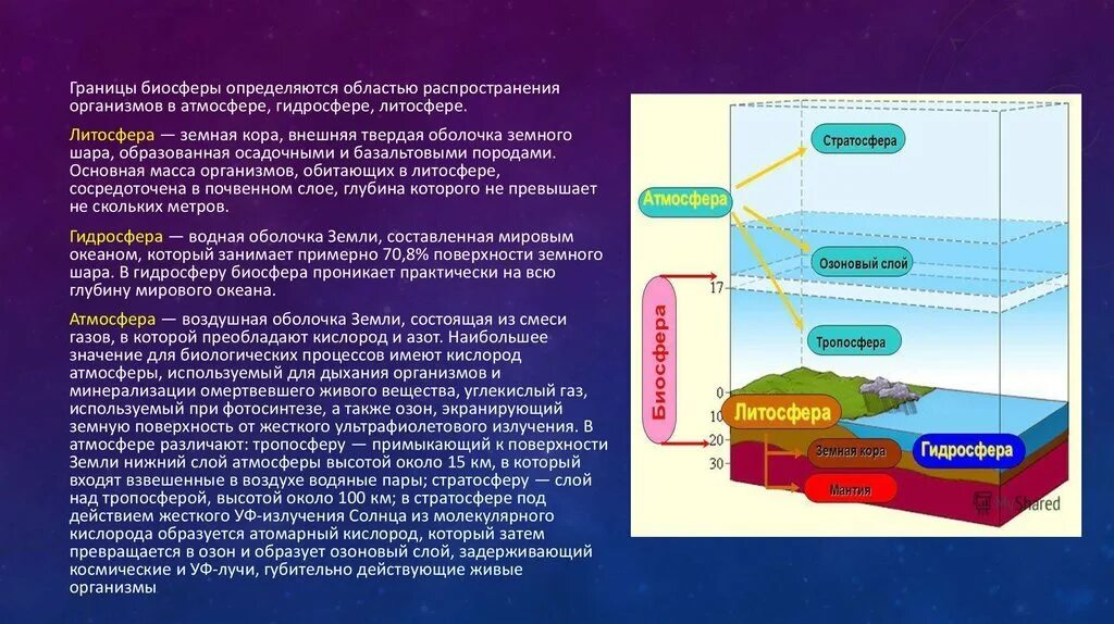 В атмосфере преобладает азот. Слои биосферы. литосфера гидросфера атмосфера биосфера. граница биосферы в атмосфере. границы распространения жизни в атмосфере.