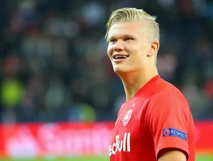 Holland страна производитель