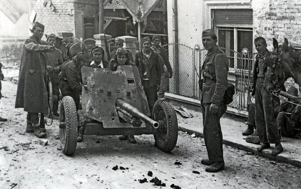Сопротивление югославии. Освобождение югославии 1944. народно-освободительная армия югославии. освобождение столицы югославии белграда.
