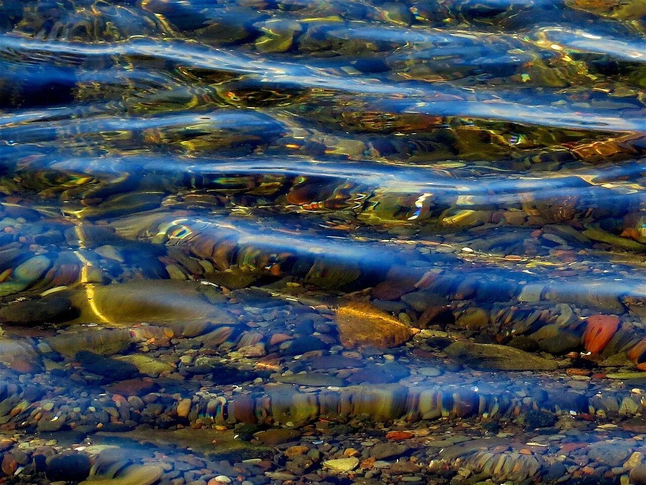 Река озеро море океан. Вода река море. река море океан. поверхность воды. реки в океане.