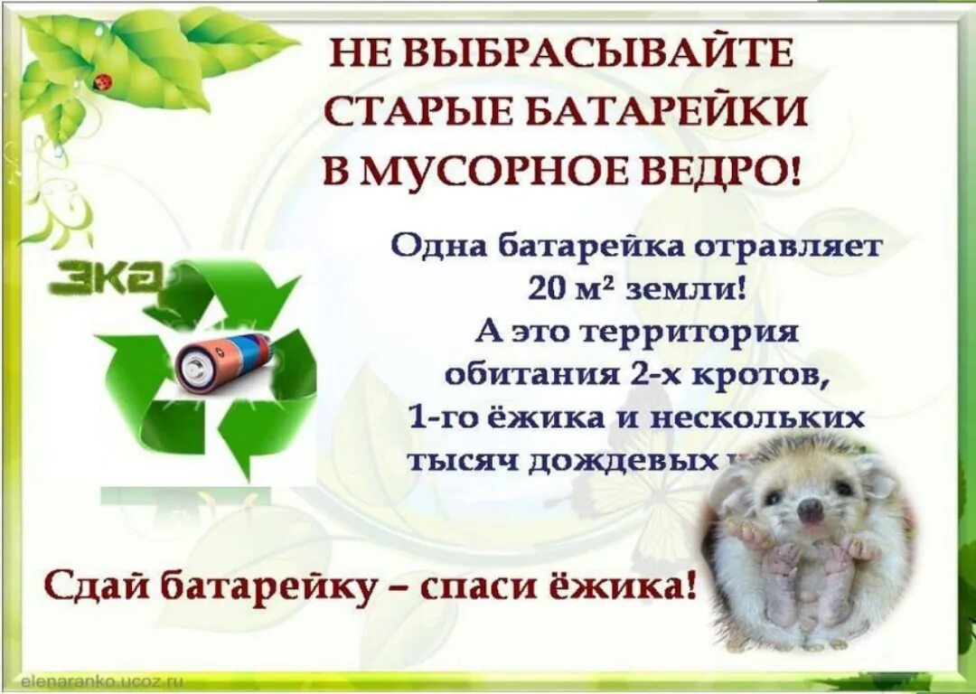 Акция спасем ежика. Акция батарейку принеси ежика спаси. собери батарейку спаси ежа. сдай батарейку акция в детском саду. экологическая акция батарейки.