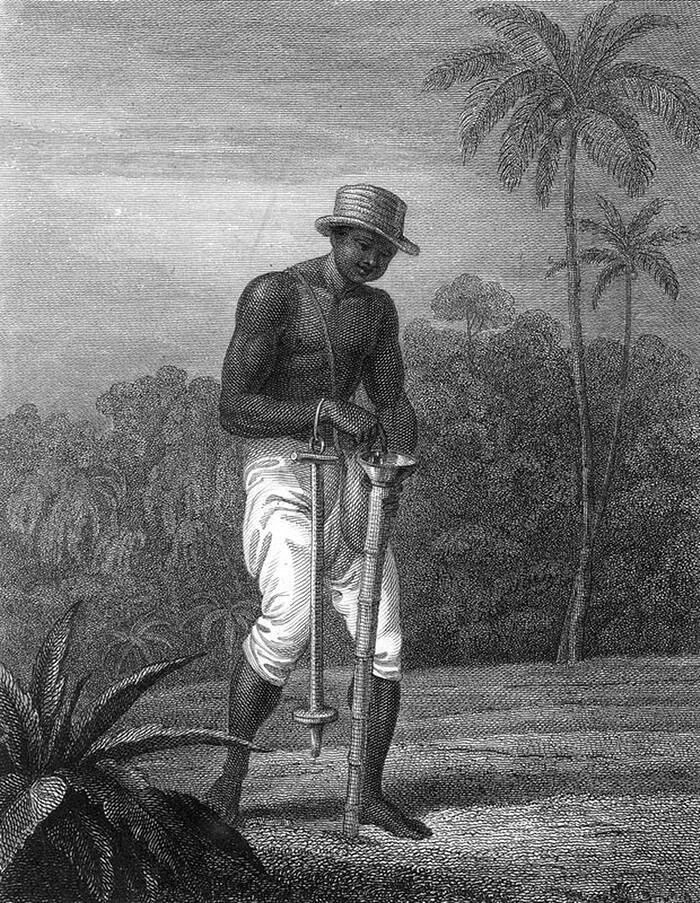 Плантации рабыни. Плантатор рабовладелец 19 века в США. Плантации сахарного тростника 19 век. Хлопковая плантация США 19 век. Робинзон Крузо в Бразилии на плантации.