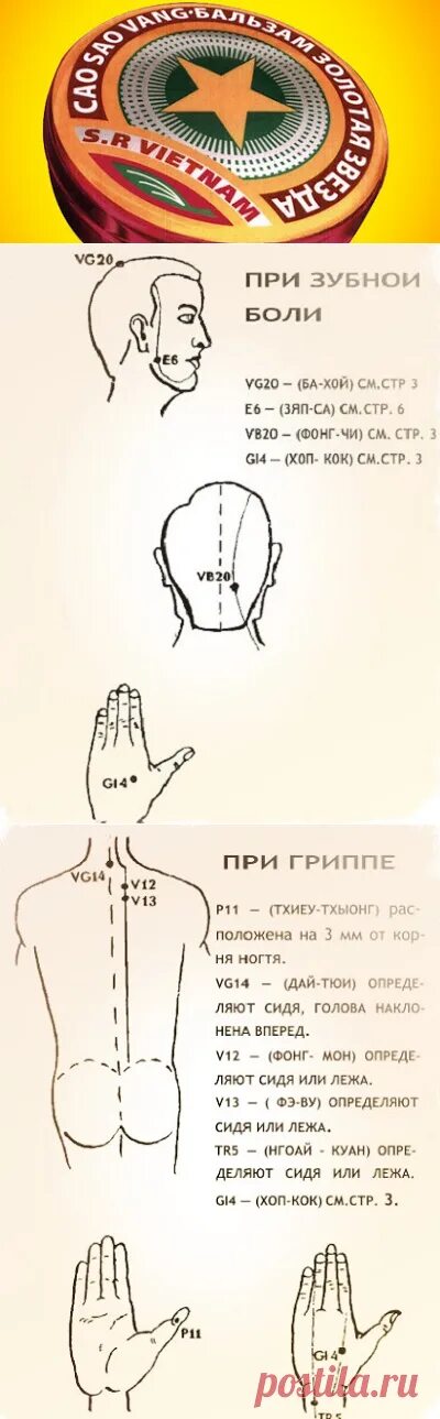 Нюхать звездочку при беременности
