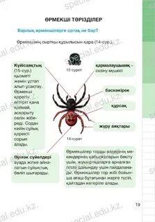 Қыздар қара әдемі трусики трахаются