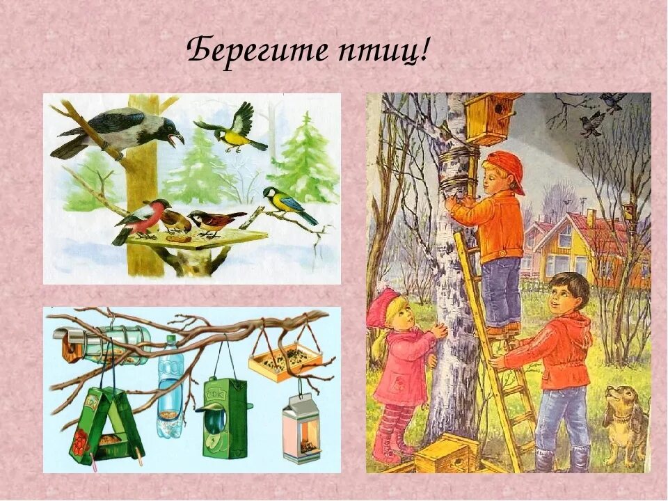 Как заботиться о птицах. Забота о птицах. Берегите птиц. Птицы наши друзья для детей. Берегите птиц для детей.