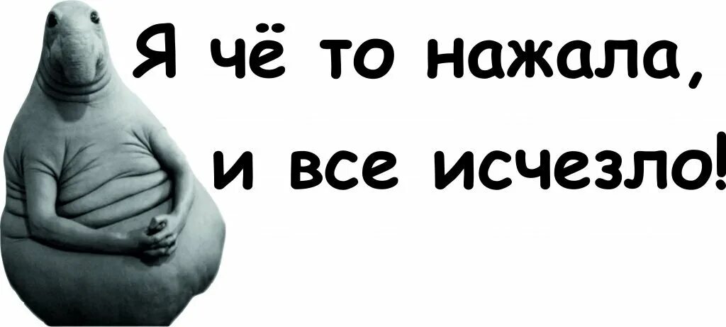 Прикол нажми