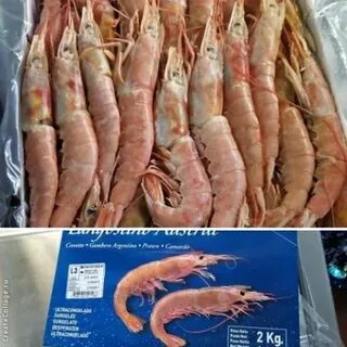 Что значит креветка