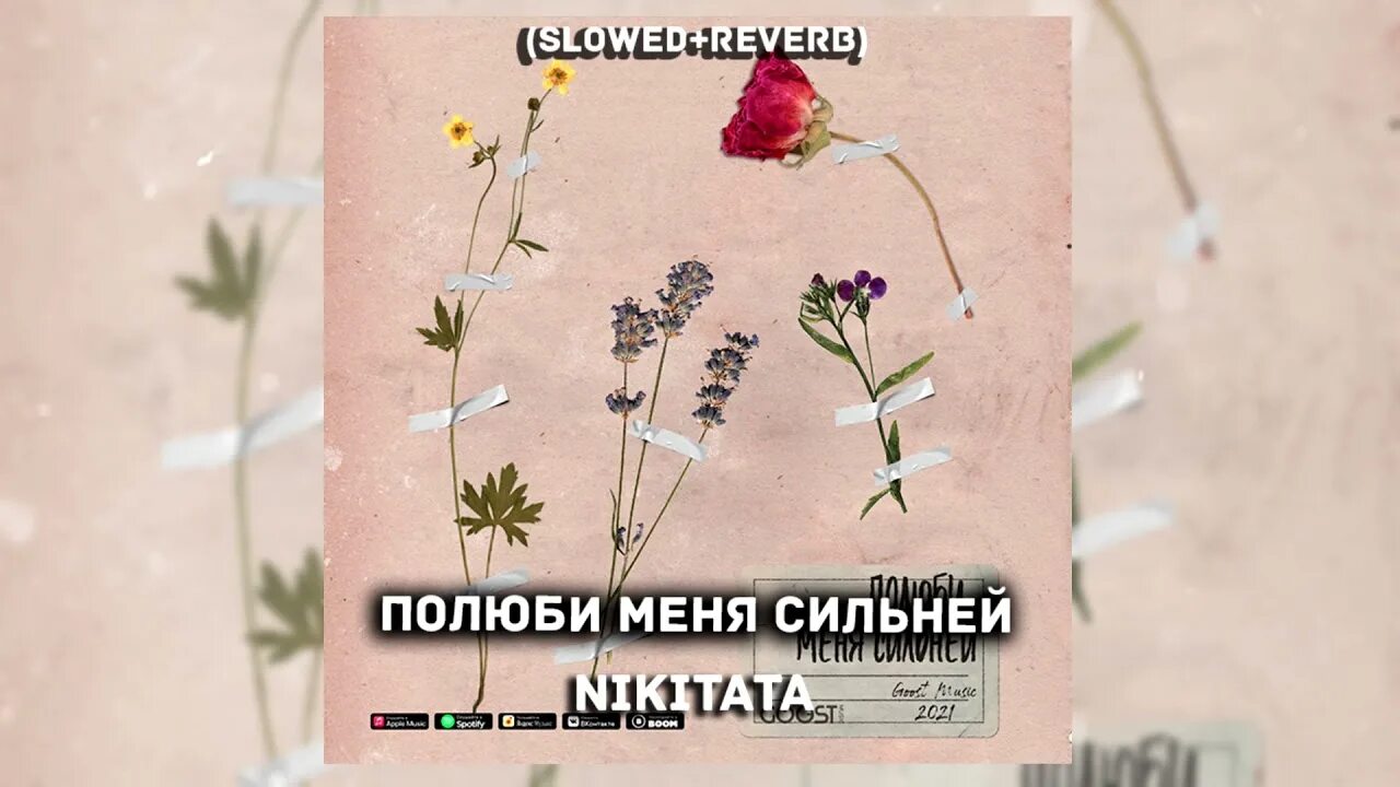 Нарву цветов слова