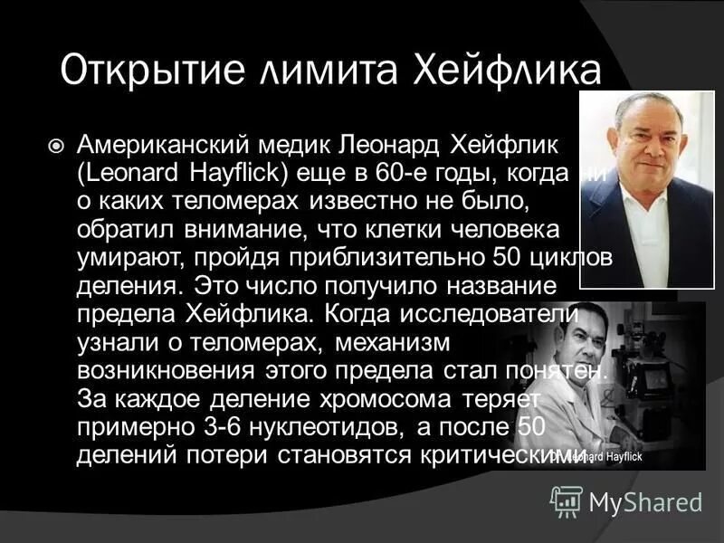 Известно что сша давно утратили роль абсолютного. Предел Хейфлика. Феномен Хейфлика. Презентация предел Хейфлика.