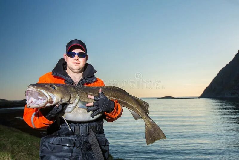 Is he a fisherman. Рука держит рыбу. Мужчины с большой рыбой в руках. Фото парень держит большую рыбу в руках. Огромная рыба 4 человека держат.