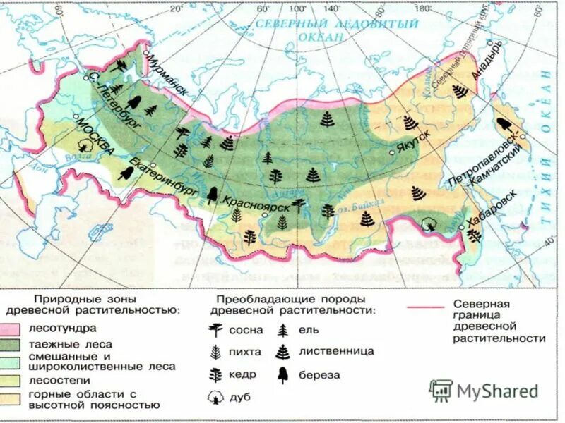 типы почв россии карта. широколиственные леса почва на карте. преобладающая порода леса. карта почвенно-географического районирования ссср. виды лесов в россии карта.