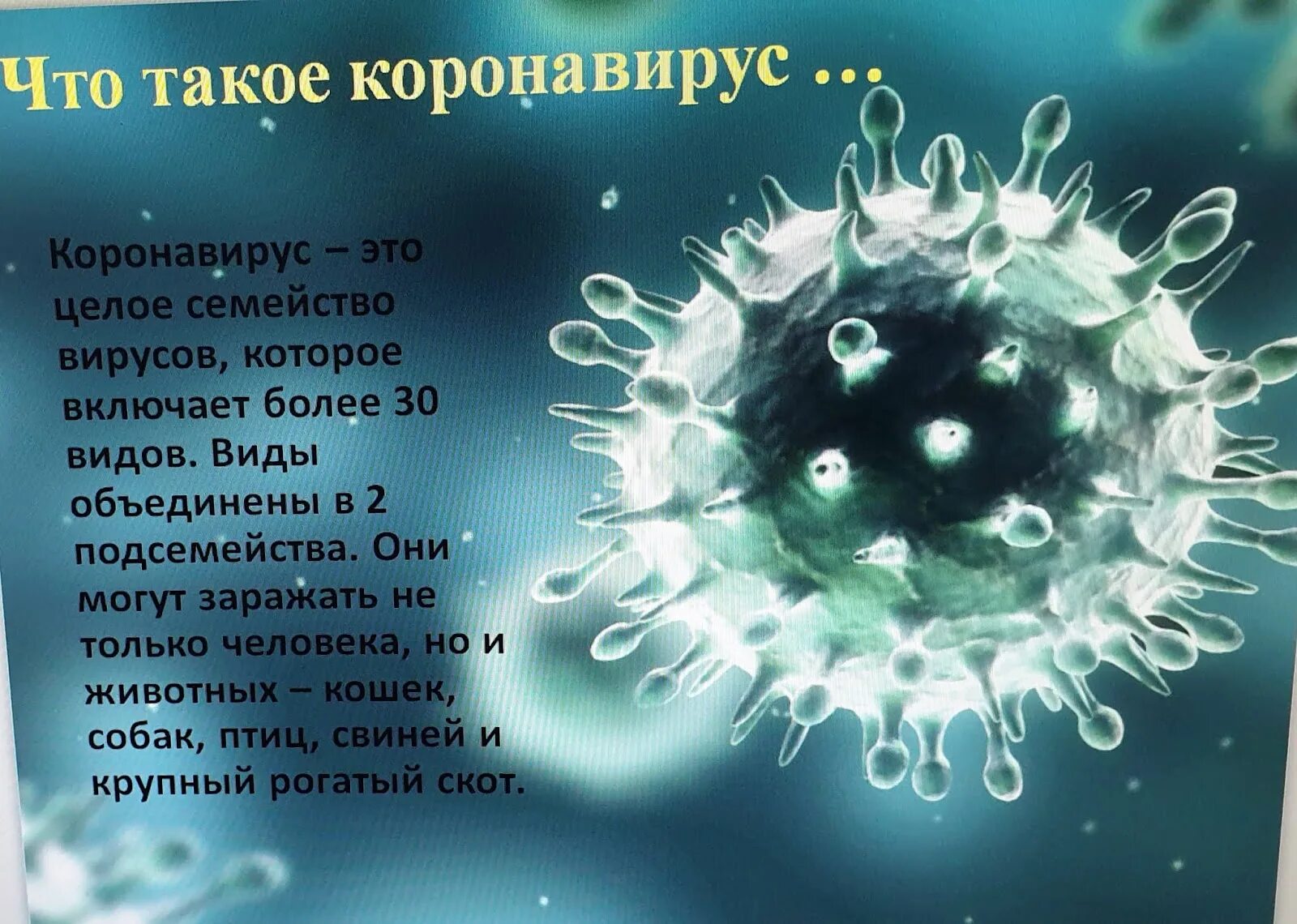 Коронавирус означает. Вирус. Вирусные заболевания коронавирус. Современные вирусы. Коронавирус картинка вируса.