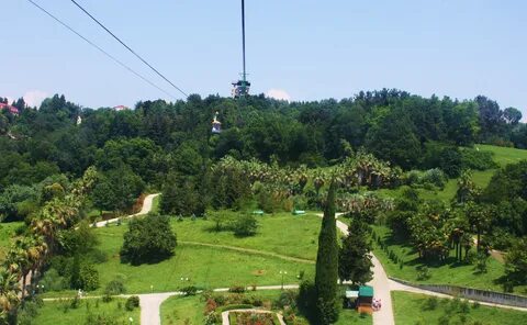 От дендрария до сочи парка