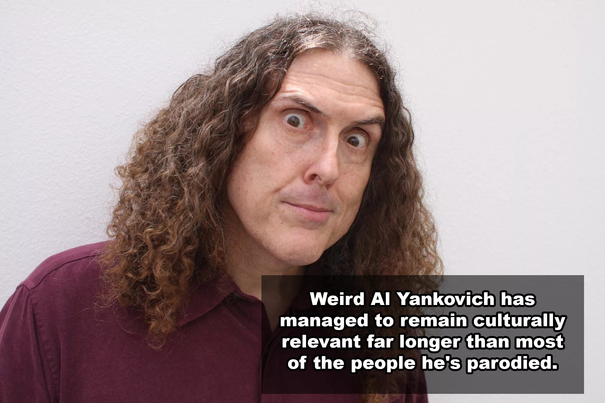 Странные истории янковича. Аль Янкович. Странный Эл Янкович. Weird al Yankovic.