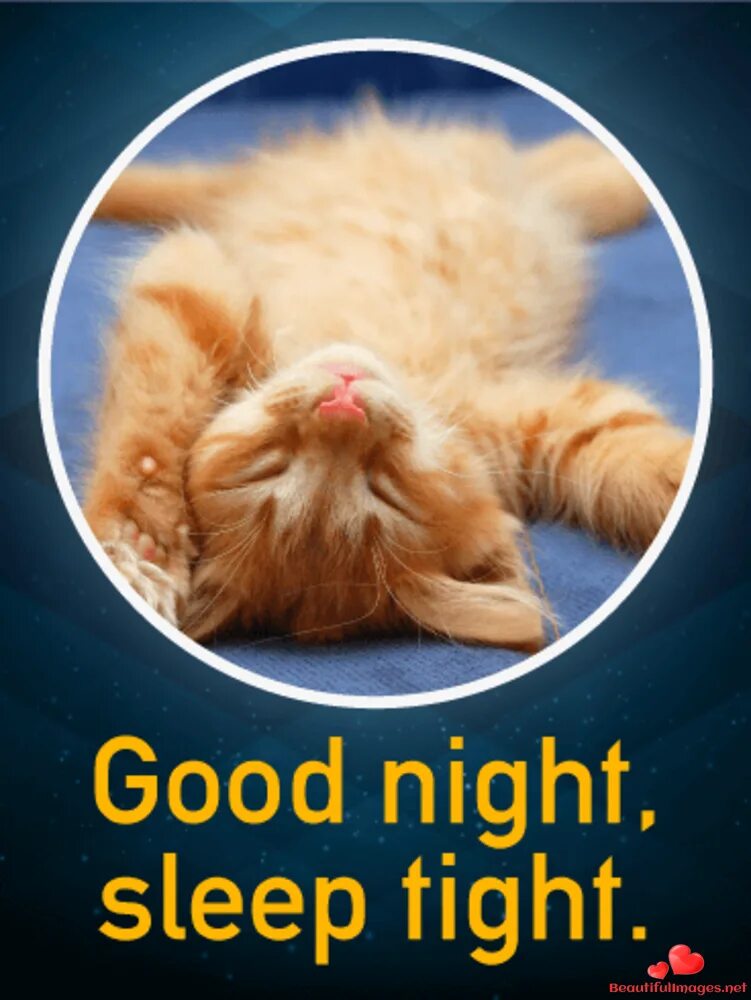 Good night картинки. Good night sleep well. Sleep well картинки. Открытка спокойной ночи на английском языке. Goodnight.