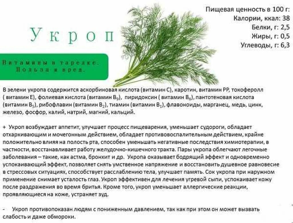 Укроп яблоко. Чем полезен укроп. Что полезного в укропе. Поле укропа. Укроп для чего полезно.