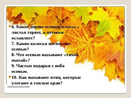 На ковре из желтых листьев текст