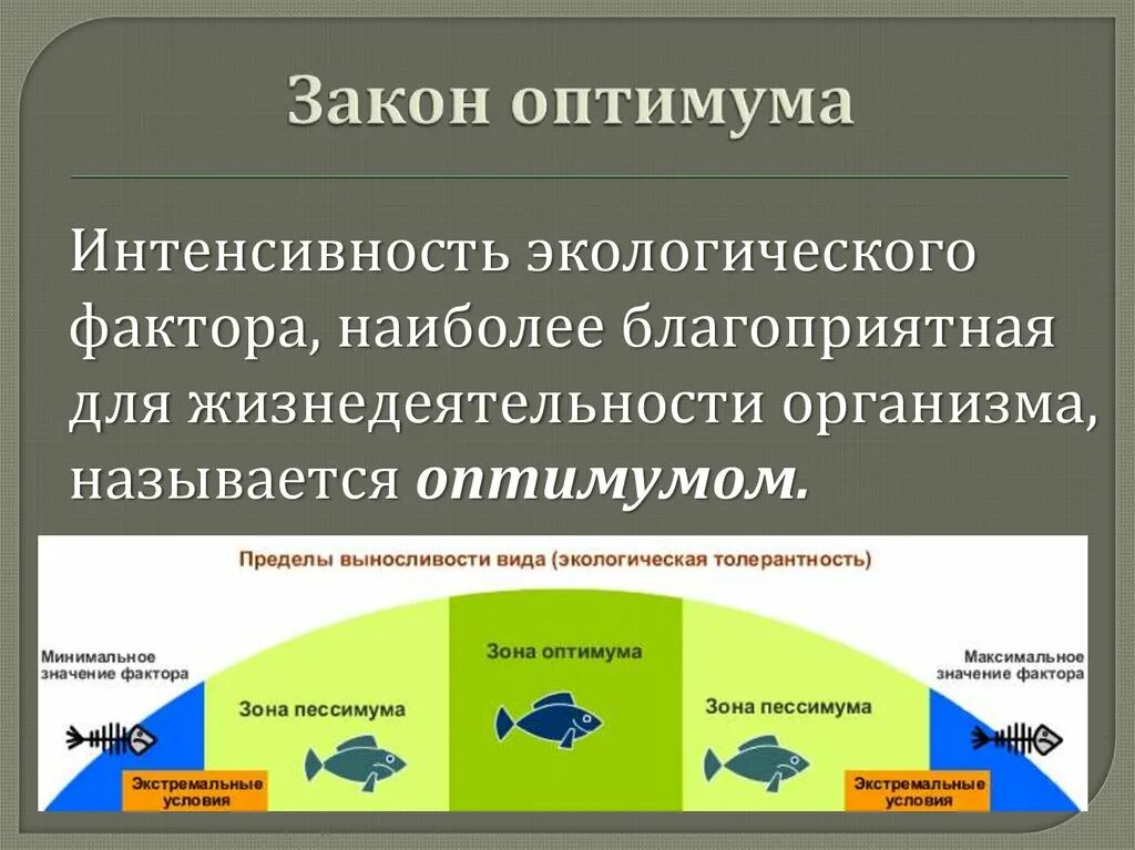 Закон воздействия экологических факторов. Закон оптимума и минимума в экологии. Законы экологии. Законы оптимума,. Закон экологического оптимума. Закон минимума примеры.