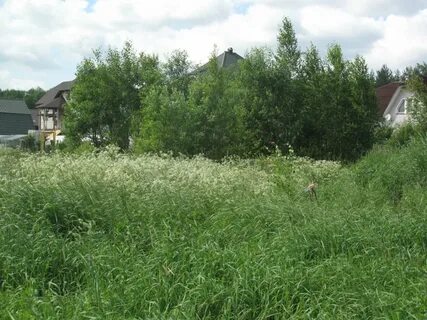 Участки в гатчинском районе