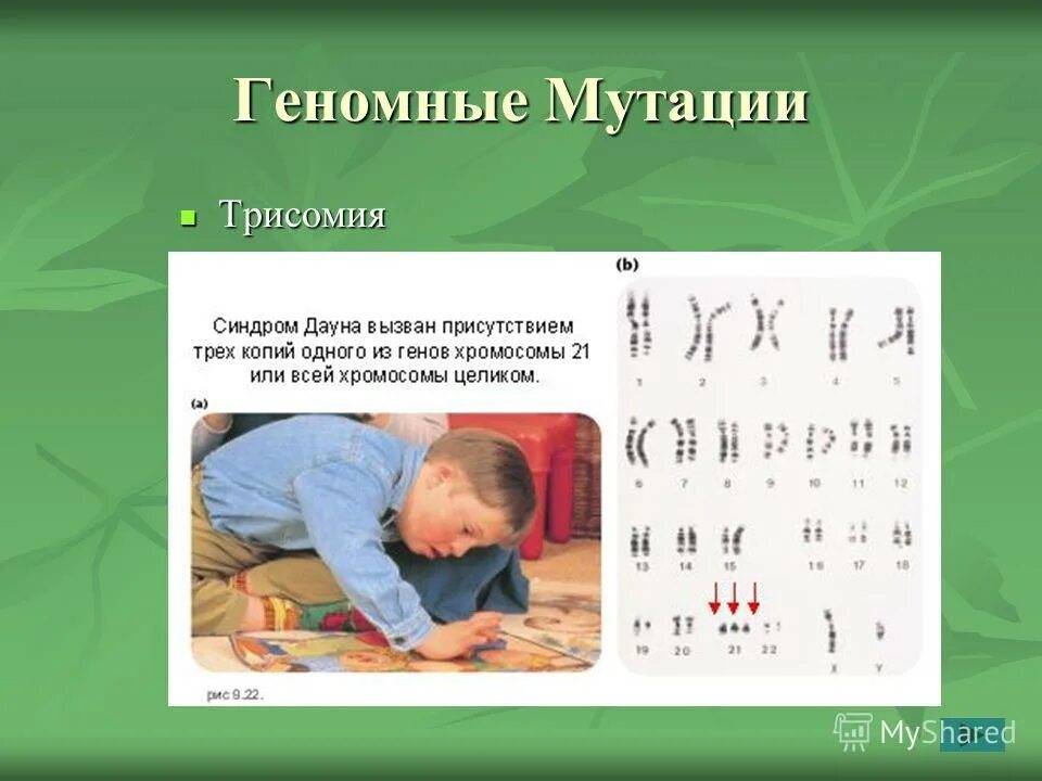 геномная трисомия. геномная трисомия. геномная трисомия. геномная трисомия. синдром трисомия х кариотип.