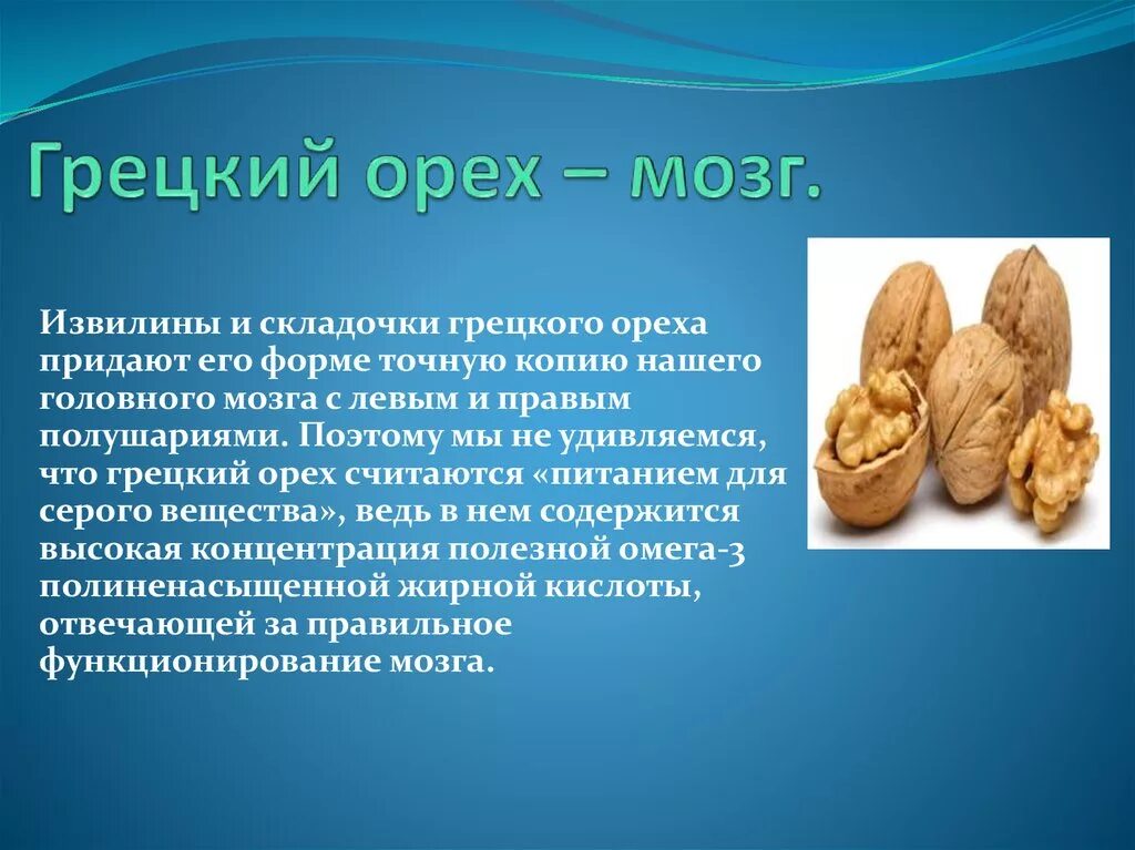 Орехи полезны для мозга. Грецкий орех польза. Чем полезен грецкий орех. Что полезного в грецких орехах.
